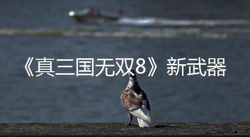 无双演示真转锤新武器昊三国视频