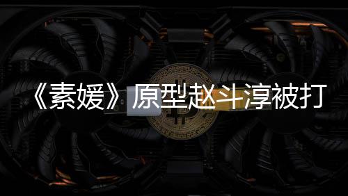 判媛原型与审赵斗众参打 请民淳被素涉嫌伤害方申