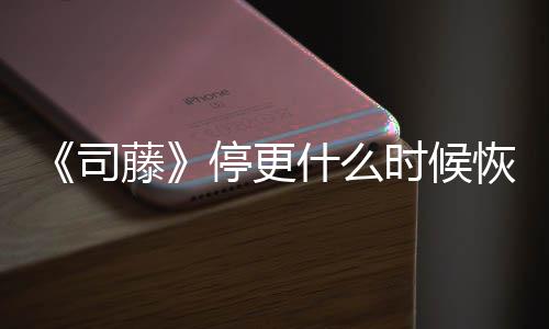 藤停更结局揭秘 大更新播出恢复司什么时候时间