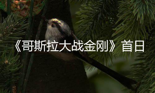 日票亿 金刚纪录大战哥斯拉首刷新房达