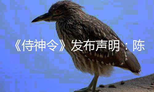 为电影唯一男明主角布声陈坤侍神令发