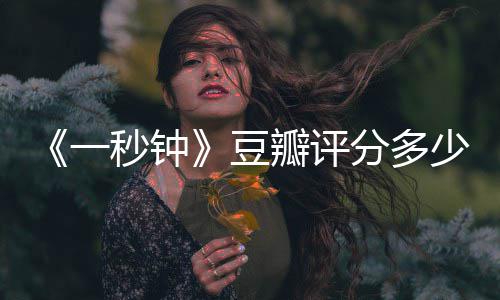 一一秒剧情简介介绍秒钟谋张艺钟主演豆瓣评少分多