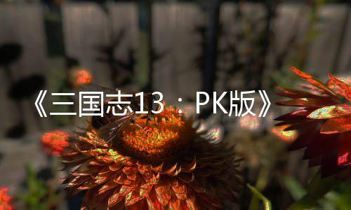 委托玩国志K版巧三法技