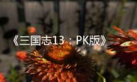 《三国志13：PK版》委托玩法技巧