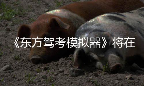 拟器日登平台2月将在1东考模陆S方驾