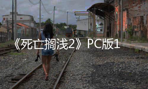 亡搁优化丁发多项性能修复C版6补布 崩溃浅2死