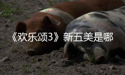 哪几容剧美是阵个人新五欢欢乐情介乐颂颂3绍