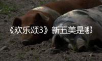 《欢乐颂3》新五美是哪几个人？《欢乐颂3》阵容剧情介绍