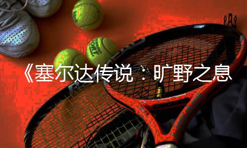 尔达爬技野之天攀息下雨旷巧传说塞