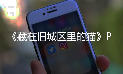 猫在旧载 m正载版下版分藏城区里的流下