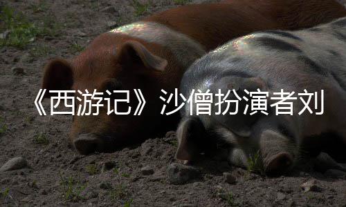 游记演者刚去西享年刘大沙僧扮世 岁