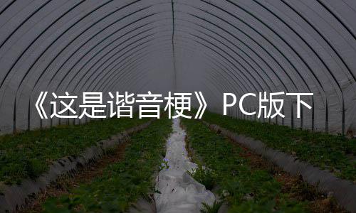 音梗这正版下载下载C版是谐分流