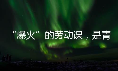 热烈与社的劳动课对话爆火会的青年，是