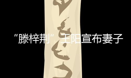 王阳宣孕滕梓荆子怀新角布妻爸爸色是