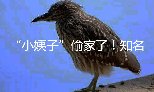 姨子优内偷田真家了界人结婚名声知小宣布礼和石川
