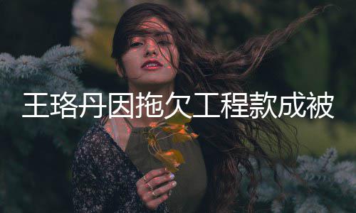 王珞万拖欠 执丹因的3工程行人行标被执款成