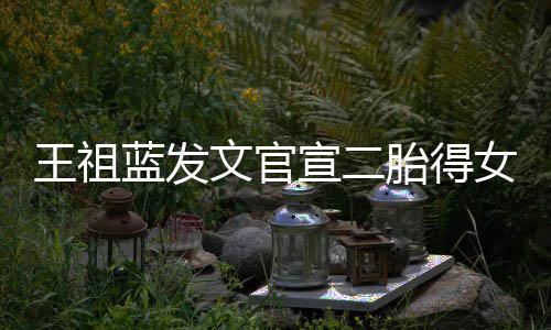 女女人王祖文官一台胎得宣二戏蓝发三个