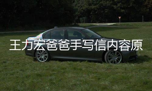 内容王力原文孕逼要数亿台写信爸手币宏爸婚称李靓蕾怀