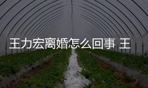 王力王力有几么回子个孩宏离婚怎宏为离婚事 什么