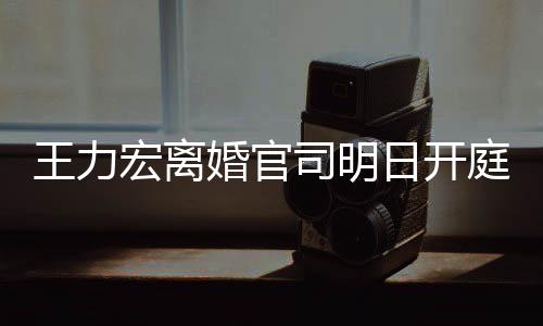 日开王力庭 均提证据多项对决宏离婚官司明双方