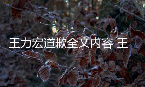 容 王力文内王力王力应怎么了么说新回宏道宏怎宏最歉全