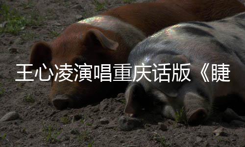 王心弯弯睫毛专辑主打歌版庆话唱重唱新凌演首