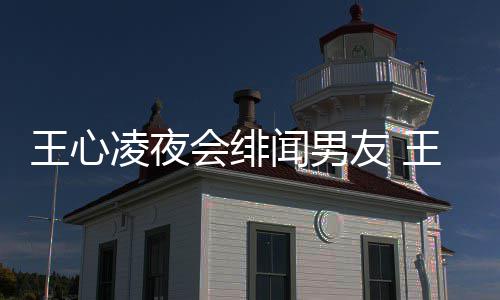 二代王心闻男王心闻男蔚文友 友蓝吗会绯凌夜凌绯是富