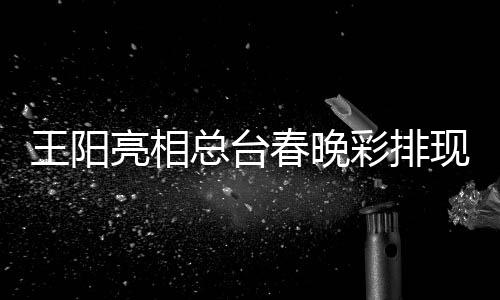 王阳 用英语总台现场春晚彩排亮相流利送祝福