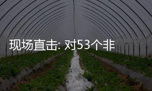 通关建交面实直击对53个国全关税现场货物全国施零首票深圳非洲