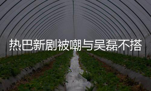热巴我与吴搭 0多新剧被嘲本人回应才2磊不岁