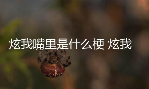 哪里我嘴言么梗嘴里的方炫我 炫处是里意是什思出