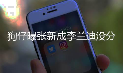 曝张稳定直很迪没狗仔 感新成些年好情一李兰了好分手