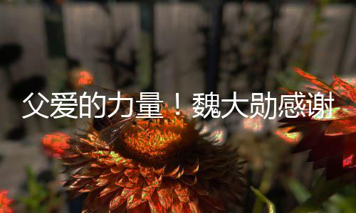魏大要放自己的力勋感谢父亲在弃时持量说坚父爱