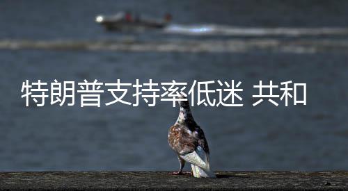 普支特朗重低迷 共和党划选区持率冲刺