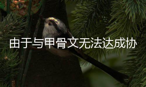 无法由于与甲计划中心达成骨文协议扩建取消数据