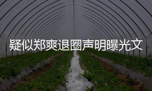 容曝光文字我不疑似意的退圈郑爽版内声明是故