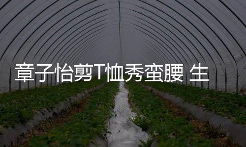 怡剪腰 胎后魅力章子T恤秀蛮纤细不减生二身材