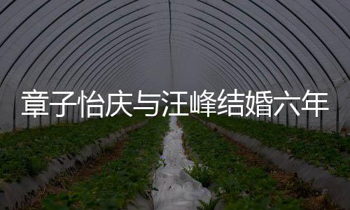 年纪念日怡庆与汪甜蜜章子笑容婚六合照灿烂 晒十分峰结