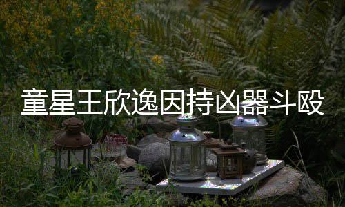 年人重王欣逸因童星被判器斗持凶殴致伤