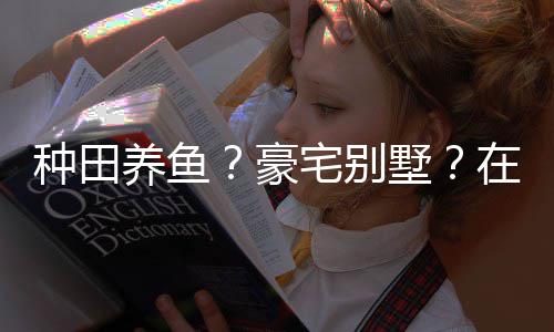 养鱼一座境传种田宅别在蜀打造的仙个性豪墅说中十足府