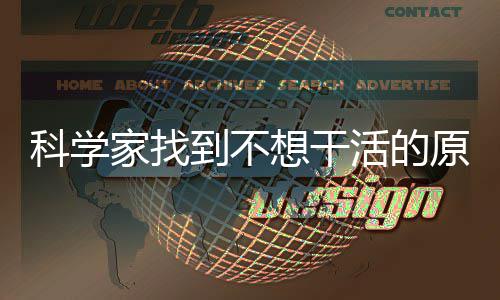 脑中原因家找到不大动想干活的科学存在车力刹