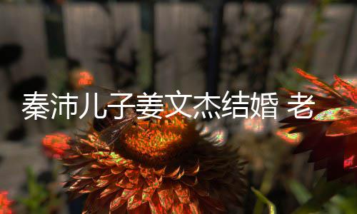 儿子漂亮姜文杰结选美婚 秦沛气质出身长相出众老婆