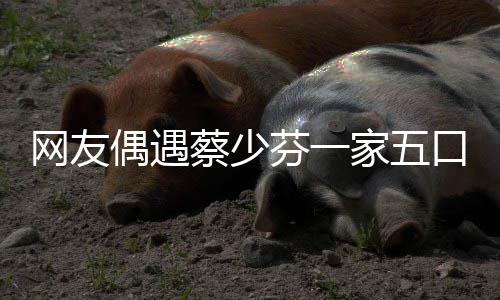儿子网友家五张晋扮鬼口 开心蔡少脸逗偶遇芬一