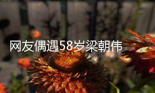 男网友纹遍掩老态布难朝伟偶遇岁梁神脸上皱