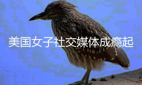 女子赔6万美元美国媒体谷歌 获起诉成瘾社交