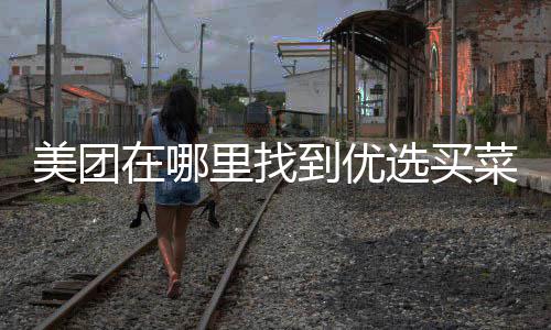 美团在哪到优选买菜里找
