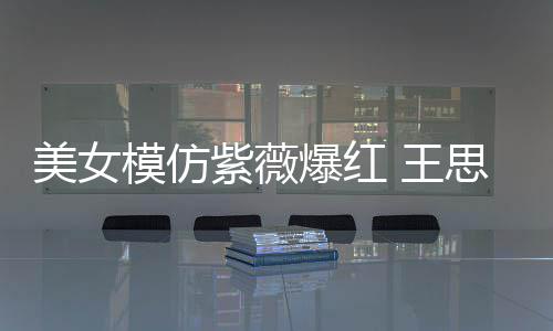 王美女模仿紫薇爆红狂刷礼物思聪