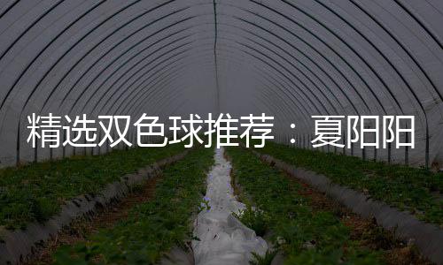万阳领精选荐家同中2大专等2夏阳衔三球推双色