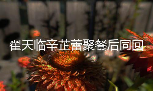 样聚餐芷蕾芷蕾怎么翟天翟天感情后同回爱巢 临辛临辛