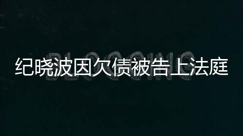 吴佩应庭纪晓没有的事波因被告欠债慈回上法